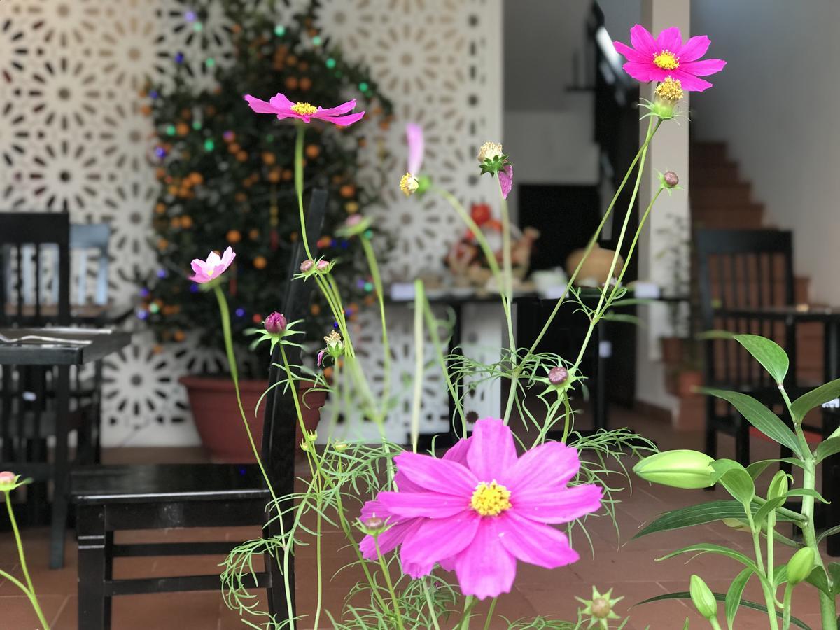 Vinci Villa Hoi An Dış mekan fotoğraf