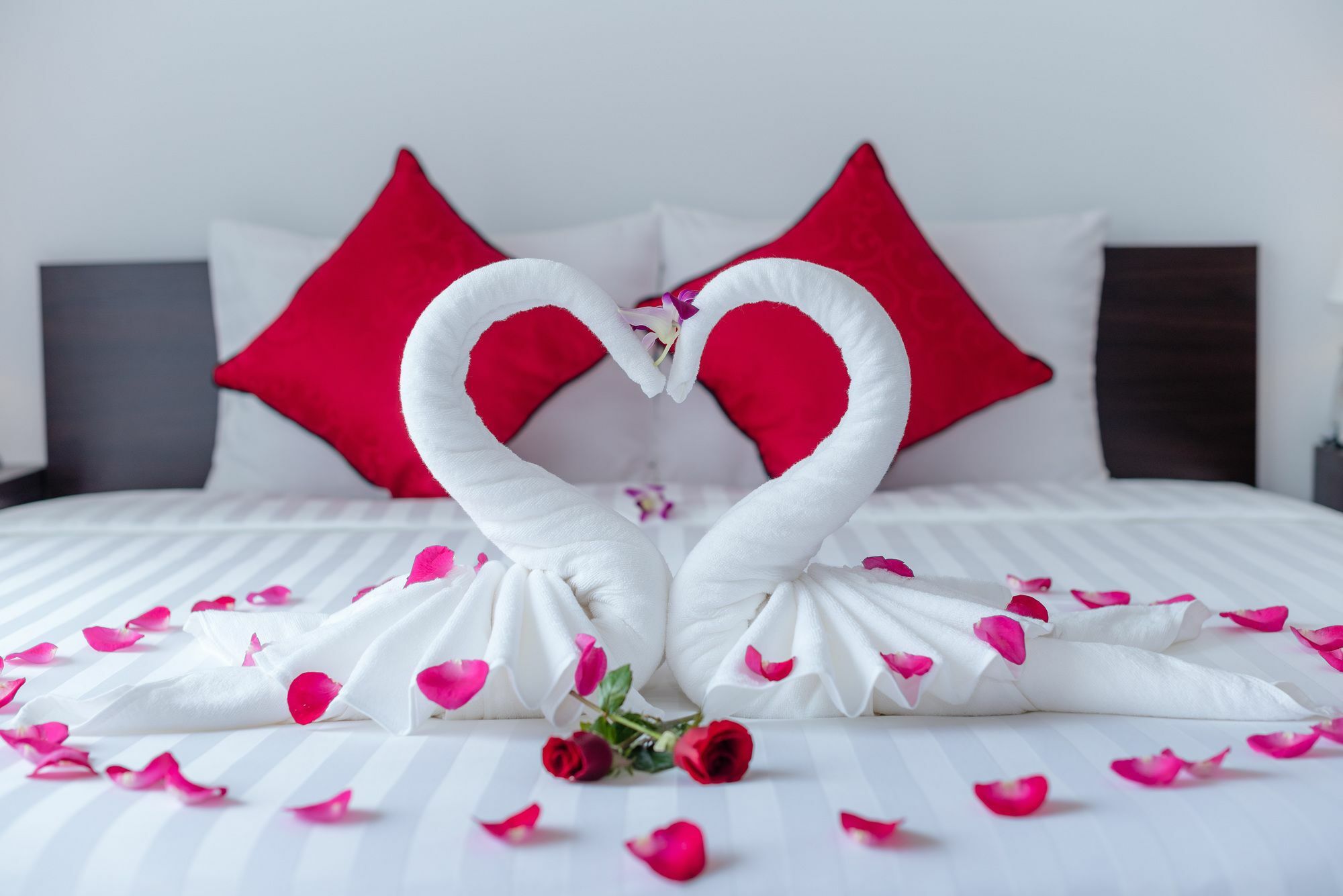 Vinci Villa Hoi An Dış mekan fotoğraf